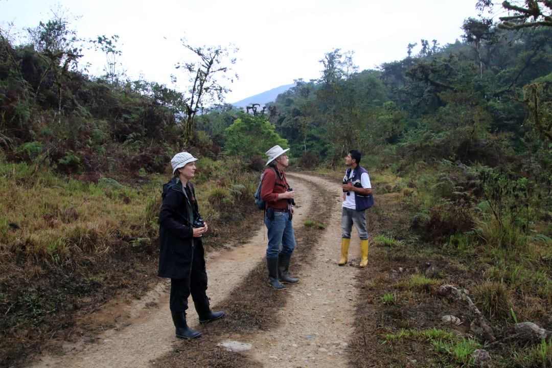 Monitorering af El Oro Parakeet. Fra venstre Bente, David og Diego. Buenaventura, El Oro, Ecuador.