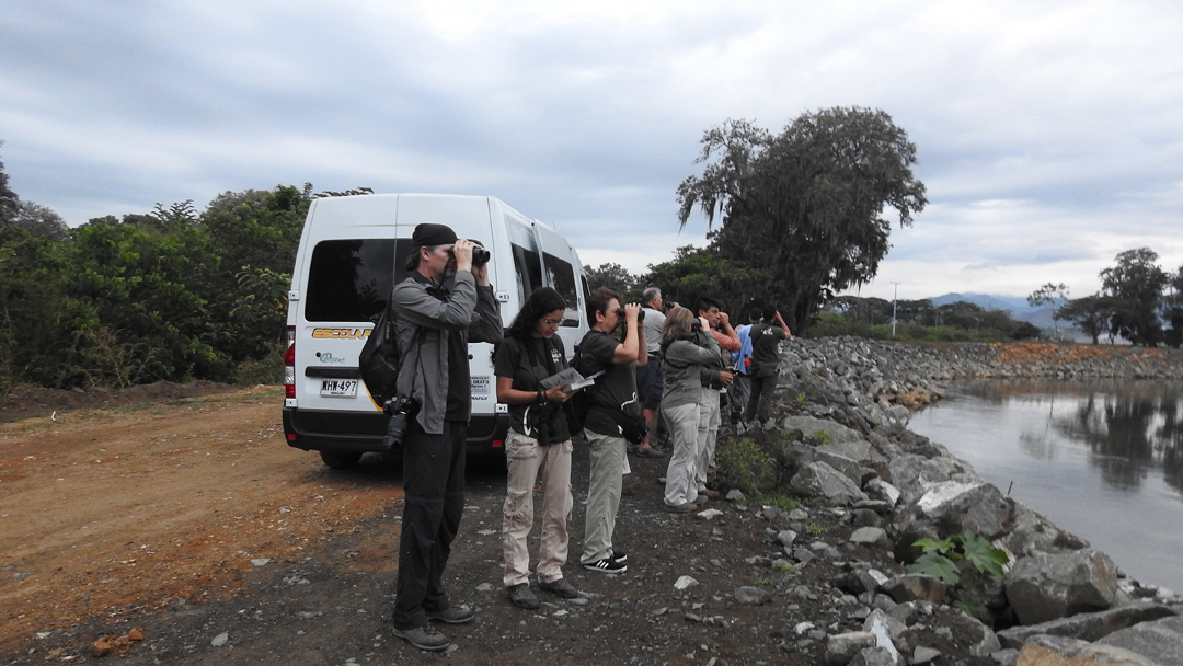 Birding Laguna Sonso, Colombia Birdfair 2019, Cali, Colombia.